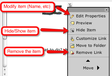 Options found inside the "Build" tab once the Chevron is clicked beside an item